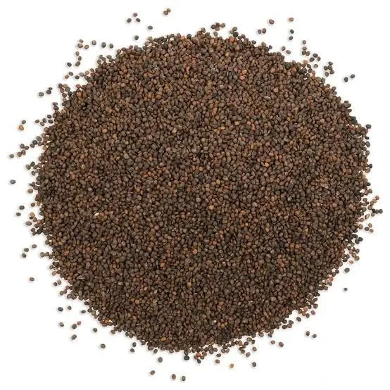 Jarjeer%20Salad%20Seeds.%20Arugula%20Rocket.%20Pack%20of%205%20-%20Image%203