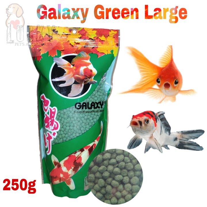 Galaxy Green Large , Fish Food , 250 g , Dry Fish Food
