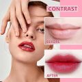 WENJLYJ 6 PCS Wine Lip Tint Wine Bottle Matte Lip Tint Stain Stick,Long Lasting Waterproof&Moisturizing Velvet Liquid Lipstick Mini Cute Lip Gloss Set for Women. 