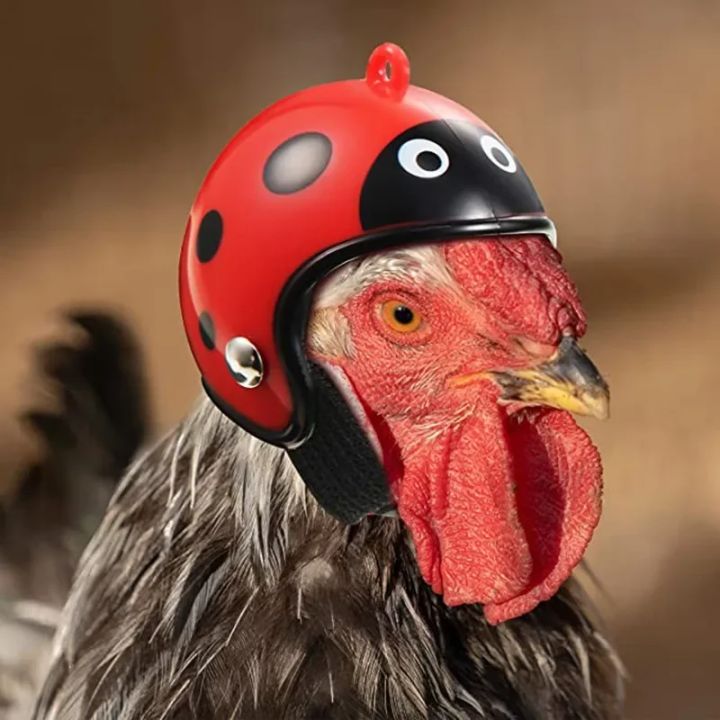Farm%20Pet%20Chicken%20Helmet%20Sun%20Rain%20Protection%20Cute%20Hat%20for%20Hens%20Outdoor%20Henhouse%20Protective%20Gear%20Fighting%20Cock%20Funny%20-%20Image%202