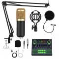 V9 Studio Condenser Microphone & Sound Card – Perfect for Live Streaming, Karaoke, and Podcasting. 