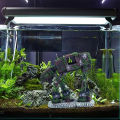 Fish Tank Landscaping Decoration Fish Shrimp Play Hiding Cave Creative Aquarium Ornament Crafts Turtle Tank Decor Accessories.