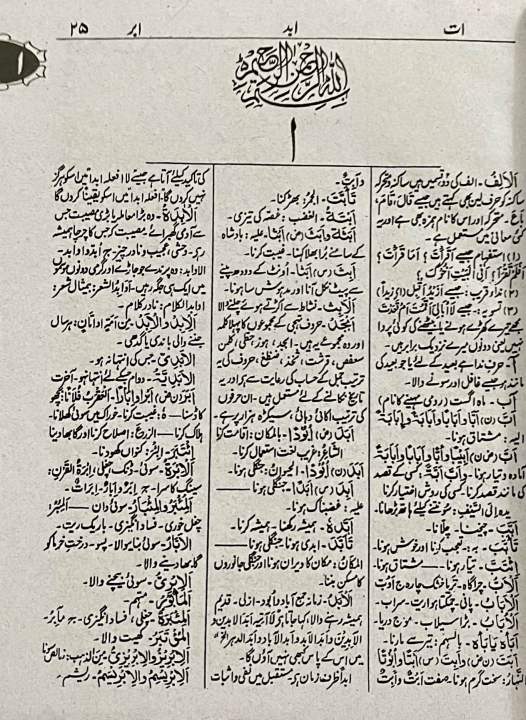 Misbah%20Ul%20Lughat%20by%20Maulana%20Abdul%20Hafeez%20Bilyavi%20-%20Arabic%20To%20Urdu%20Dictionary%20-%20Image%204