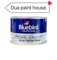 Pearl Enamel Paints - 100 ml. 