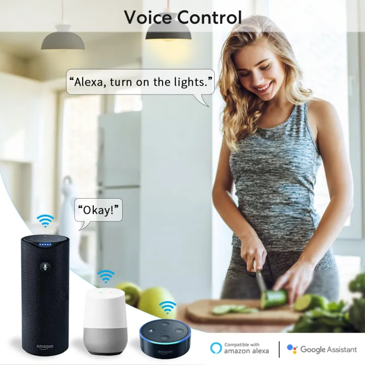 LoraTap%20Tuya%20ZigBee%20Wireless%202%20Gang%20Switch%20Relay%20Module%20Smart%20Life%20App%20Remote%20Control%20Timer%20Work%20with%20%20Assistant%20Alexa%20-%20Image%204