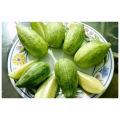 High Germination Cucumis Melo (ونگا) Wanga| Cucumber Melo Fruit Seeds For Kitchen Gardening. 