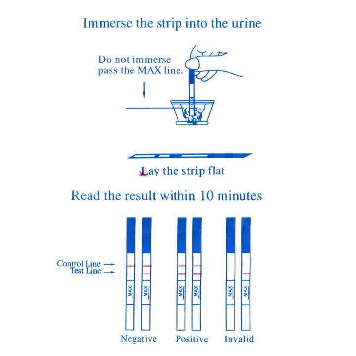 First%20Response%20LH%20Ovulation%20Test%20Strips%20Over%2099%25%20Accuracy%20Ovulation%20Urine%20Test%20Strips%20LH%20Tests%2020Pcs%20-%20Image%206