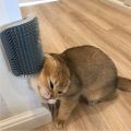 Cat corner massage brush cat scratch device cat wipe face with an itchy comb. 