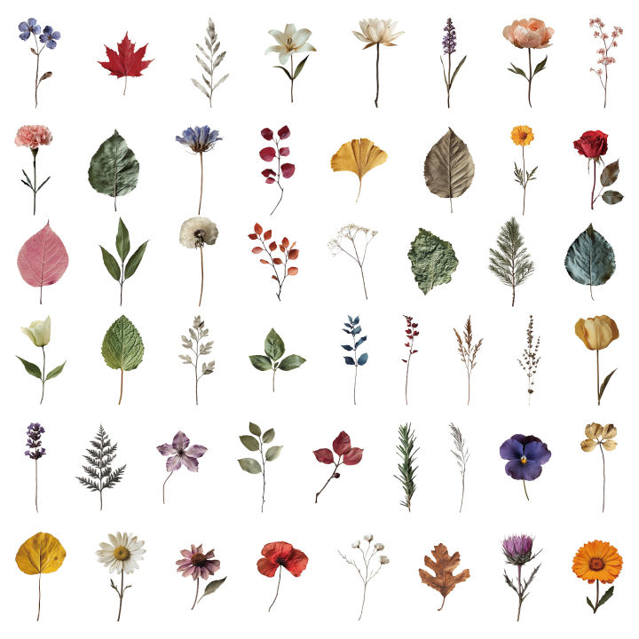 50Pcs%20%20Cute%20Plant%20Stickers%20Plant%20Specimen%20Decals%20For%20Phone%20Laptop%20Suitcase%20Notebook%20Skateboard%20Waterproof%20Sticker%20-%20Image%205