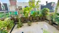 Matel Stand for plants out Door and indoor use,planters rectangular shape stand. 