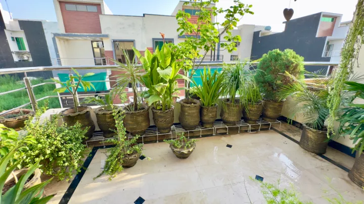 Matel%20Stand%20for%20plants%20out%20Door%20and%20indoor%20use,planters%20rectangular%20shape%20stand%20-%20Image%209