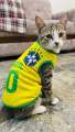 Argentina Brazil 2026 world cup cat jersey. 