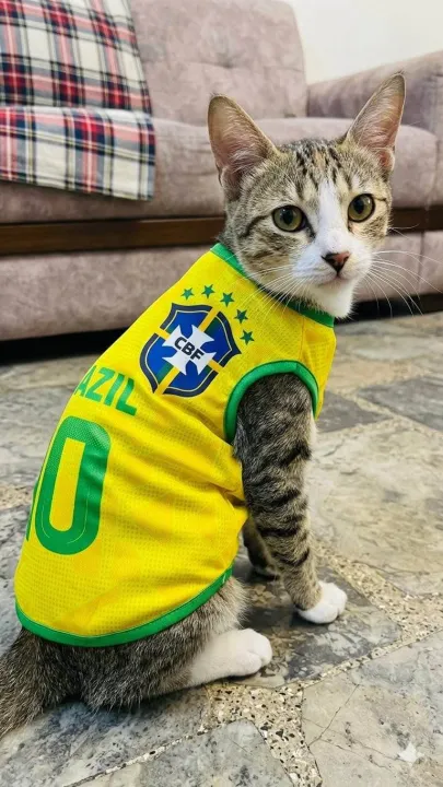 Argentina%20Brazil%202026%20world%20cup%20cat%20jersey%20-%20Image%207