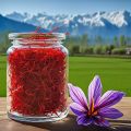 Kashmiri Saffron - The Crown Jewel of Spices. 