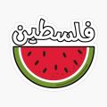 50 pc Palestinian stickers cut hq shiny glossy digital stickers Palestine flag peace support Palestine peace. 