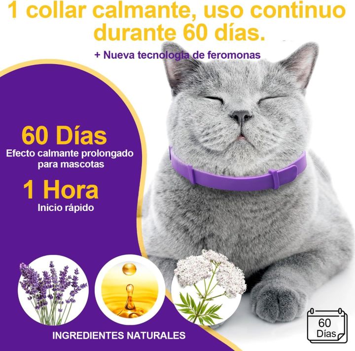 Cat%20Calming%20Collars%204%20Pcs%20Long%20Lasting%2060%20Days%20Pheromone%20Travel%20Stress%20Relief%20Adjustable%20Safety%20-%20Image%205