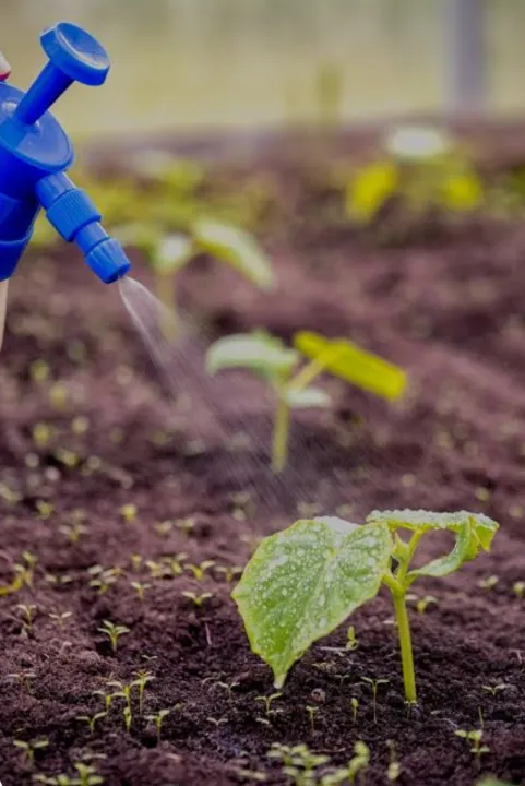 NPK%C2%A0%20Fertilizer%2010%2026%2026%20Plant%20Food%20for%20all%20purposes%C2%A0%20REPACK%2050%20gm%20Water%20Soluble%20Fertilizer%20For%20Plant%20VEGETABLES%20FLOWER%20HYDROPONICS%20and%20FRUITS%C2%A0%20Indian%20npk%20-%20Image%207