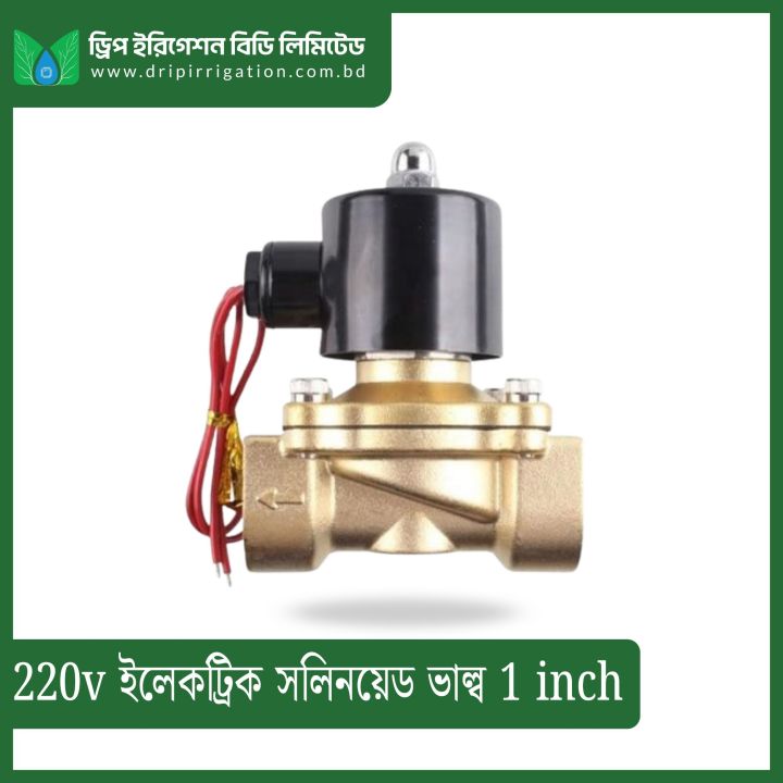 220V Electric Solenoid Valve 1 inch 1Pcs