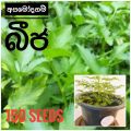 Asamodagam 150 seeds home garden. 
