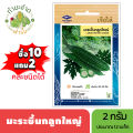 Chia Tai (buy 10 get 2) 2g of bitter gourd seeds, about 12 bitter gourd seeds, gourd seeds, vegetable seeds, garden vegetables. 