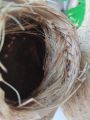  Handmade Fiber Organic Bird Nest, Natural Bird House, Decorative Hanging. 
