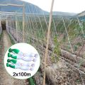 2*100m vegetable netting, vegetable trellis netting, nylon mesh netting, melon netting, cucumber planting netting. 