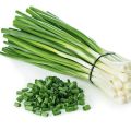 Bunching Onion-Vegetable Seed(ကြက်သွန်မြိတ်မျိုးစေ့). 
