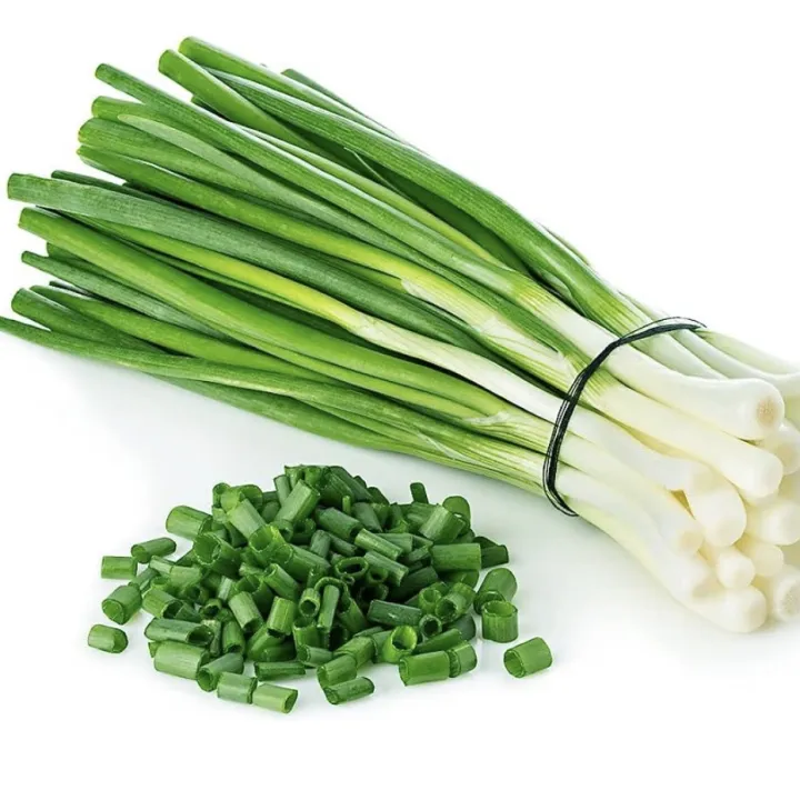 Bunching%20Onion-Vegetable%20Seed(%E1%80%80%E1%80%BC%E1%80%80%E1%80%BA%E1%80%9E%E1%80%BD%E1%80%94%E1%80%BA%E1%80%99%E1%80%BC%E1%80%AD%E1%80%90%E1%80%BA%E1%80%99%E1%80%BB%E1%80%AD%E1%80%AF%E1%80%B8%E1%80%85%E1%80%B1%E1%80%B7)%20-%20Image%202