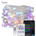 WS2812B RGBIC Christmas Lights LED String 10m 100leds WS2812 Birthday Party Room Decoration Light Addressable Individually DC5V. 