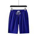2025 NEW Fitness sports Shorts Man Summer Gyms Workout Male Breathable Mesh shorts Quick Dry Beach Short Pants men Sportswear ﻿. 