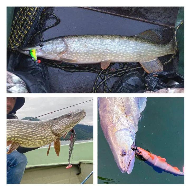 Spinpoler%20Pike%20Stinger%20Rig%20Hook%20Systerm%20with%203D%20Swimbait%20Soft%20Lure%20Fishing%20Bait%20Paddle%20T%20Tails%20For%20Zander%20Pike%20Big%20Game%20Fish%20-%20Image%207