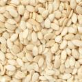 Watermelon Seeds/Dry Seeds/Fresh - 1 Kg. 