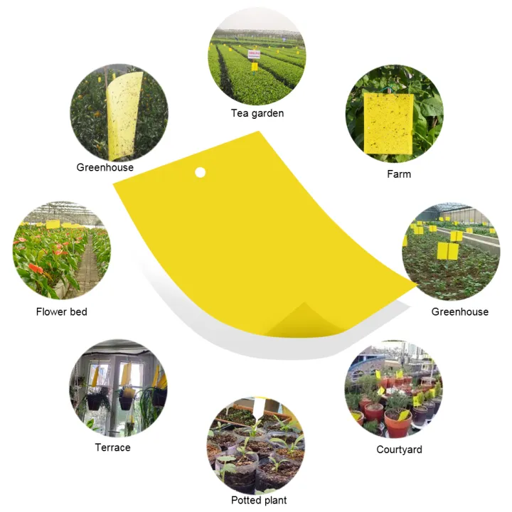 30/50%20pcs%20Yellow%20Double-sided%20Flying%20Insect%20Catching%20Control%20Sticker%20Insects%20Glue%20Sticky%20Board%20Trap%20for%20Greenhouse%20Home%20Garden%20-%20Image%204