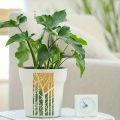 16pcs Reusable Geometric Pattern Stencils White Plastic Drawing Templates for DIY Furniture Canvas Tile Wall Floor Glass Window. 