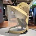 Foldable Fishing Cap Mosquito Hat with Hidden Net Mesh Unisex Fashion Repellent Insect Bee Protection Bucket Hat Sunscreen. 
