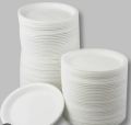 pack of 15 styrofoam disposible big biryani plate. 