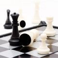 International Chess Folding Magnetic Plastic Chessboard Board Game Portable Kid Toy Portable Set 20cm.