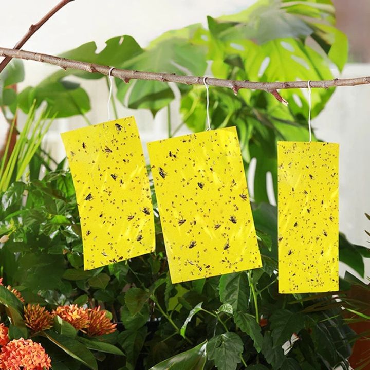 10PCS Strong Fly Traps Yellow Sticky Board Dual-Sided Catching Aphid Insects Pest Killer Outdoor Fly Trap Dropship