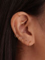 5 Pairs Small Hoop Earrings for Women: 18K Gold Plated Surgical Stainless Steel Huggie Hoop Earrings for Cartilage Helix Tragus.