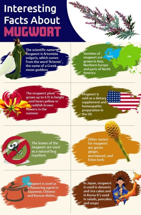 Yagya%20Mugwort%20Dried%201%20kg%20-%20Image%206