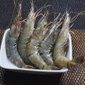 Baghda Chingri (Bagda Prawn) – 1kg | Fresh & Succulent Seafood. 