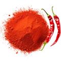 premium quality red chilli powder. 