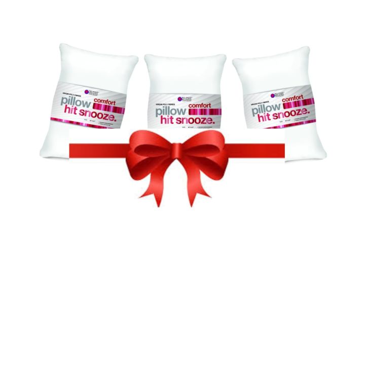 Celcius Pillow  (18"x27")