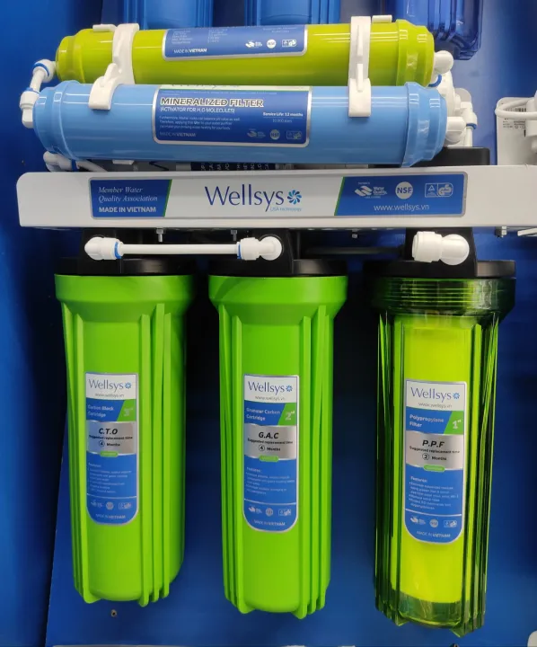 Wellsys water purifier