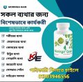 Moringa gain.