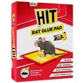 Rat Glue Pad. 