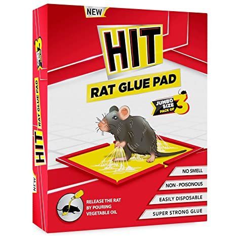 Rat Glue Pad