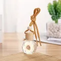 Cartoon Car Aromatherapy Glass Bottle For Mirror Pendant Dashboard Decorative Ornaments. 