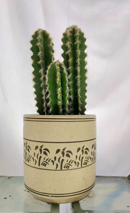 White%20Ceramic%20Pot%20-%20Image%204