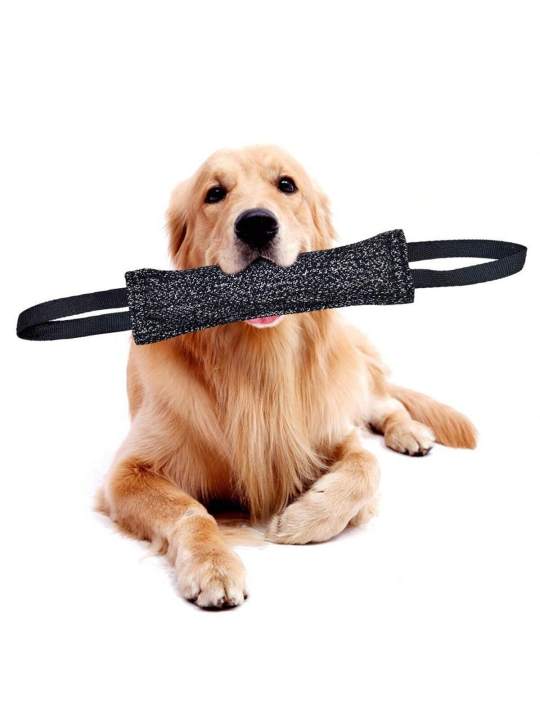 1pc%20Dog%20Bite%20Stick%20Enhances%20Effective%20Training-%20Comfortable%20Handle%20For%20Interactive%20Play,%20Grinding%20Teeth,%20And%20Chew%20Training%20-%20Image%204